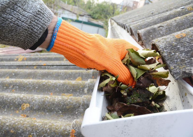 Business Gutter Cleaning in Sacramento, CA