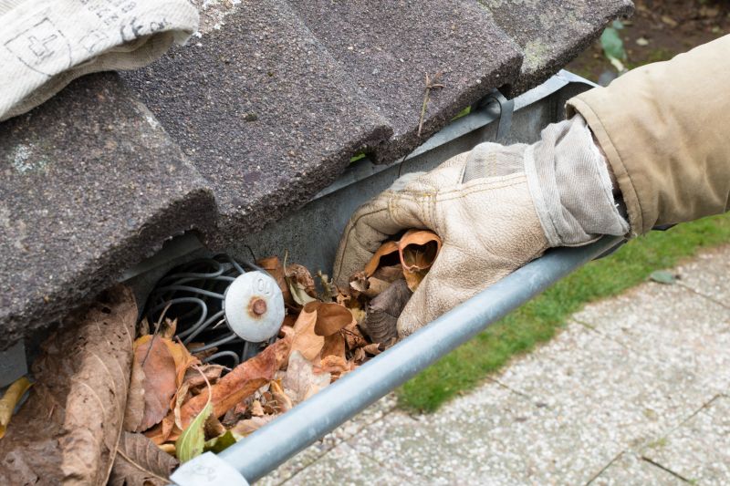 Gutter Leaves Removal in Richmond, VA